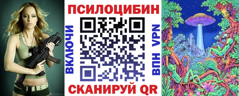 Галлюциногенные грибы Psilocybine cubensis  Шарья 
